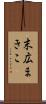 末広まきこ Scroll
