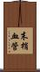 末梢血管 Scroll