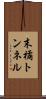 末橘トンネル Scroll