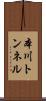 本川トンネル Scroll