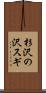 杉沢の沢スギ Scroll