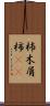 杮 Scroll