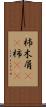 杮 Scroll