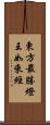 東方最勝燈王如來經 Scroll