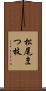 松尾まつ枝 Scroll