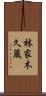 林家木久蔵 Scroll