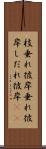 枝垂れ彼岸 Scroll