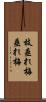 枝垂れ梅 Scroll