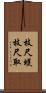 枝尺蠖 Scroll