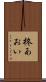 柊あおい Scroll