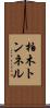 柏木トンネル Scroll