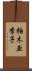柏木亜季子 Scroll