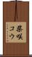 柴咲コウ Scroll
