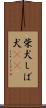 柴犬 Scroll