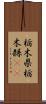 栃木県 Scroll