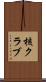 核クラブ Scroll