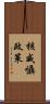 核威懾政策 Scroll