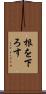 根を下ろす Scroll