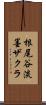 根尾谷淡墨ザクラ Scroll
