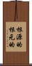 根源的 Scroll