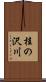 桂の沢川 Scroll