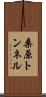 桑原トンネル Scroll