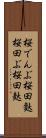 桜でんぶ Scroll