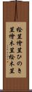 桧笠 Scroll