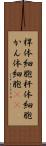 桿体細胞 Scroll