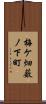 梅ケ畑薮ノ下町 Scroll