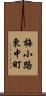 梅小路東中町 Scroll