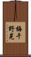 梅干野晃 Scroll