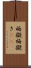 梅擬 Scroll