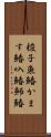 梭子魚鰆 Scroll