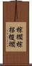 棕櫚 Scroll