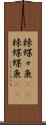 棘蝶々魚(rK) Scroll