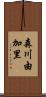 森川由加里 Scroll