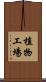 植物工場 Scroll