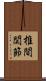 椎間関節 Scroll