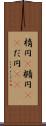 楕円(P) Scroll