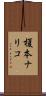 榎本ナリコ Scroll