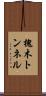 槐木トンネル Scroll