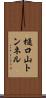 樋口山トンネル Scroll