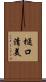 樋口清美 Scroll