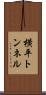 横平トンネル Scroll