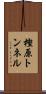 樫原トンネル Scroll