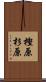 樫原杉原 Scroll