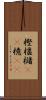 樫 Scroll