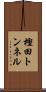 樫田トンネル Scroll