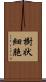 樹状細胞 Scroll